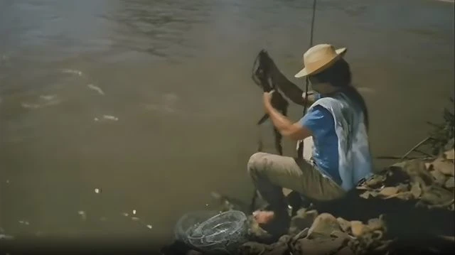O Pescador de Cinema (1999)
