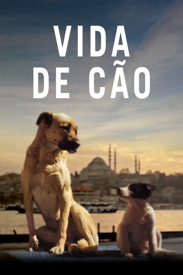 Vida de Cão (Stray)