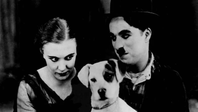 Vida de Cachorro (A Dog's Life) - Charlie Chaplin (1918)